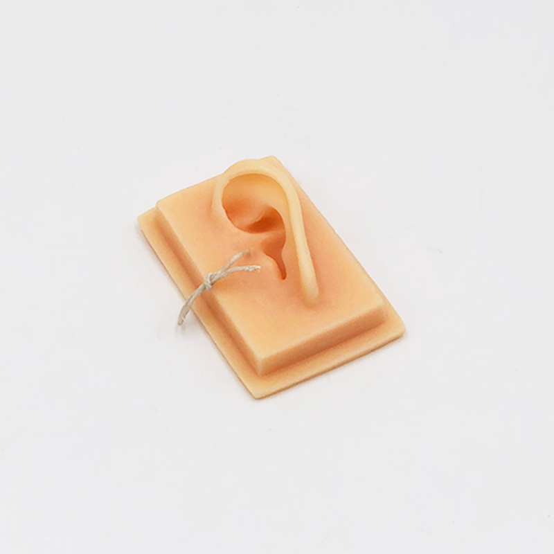 Silver ring on a mannequin ear display with a white background