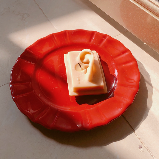Red plate with a bar of soap on a tiled floor