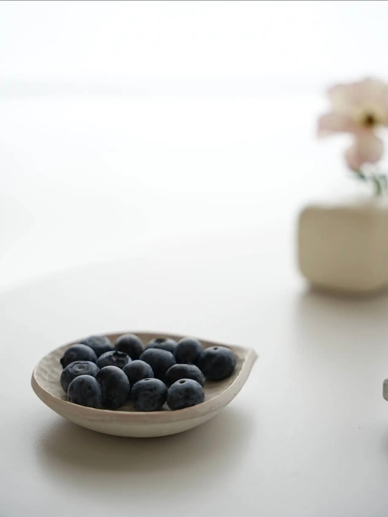 Small ceramic dish with blueberries on a light surface with a blurred background