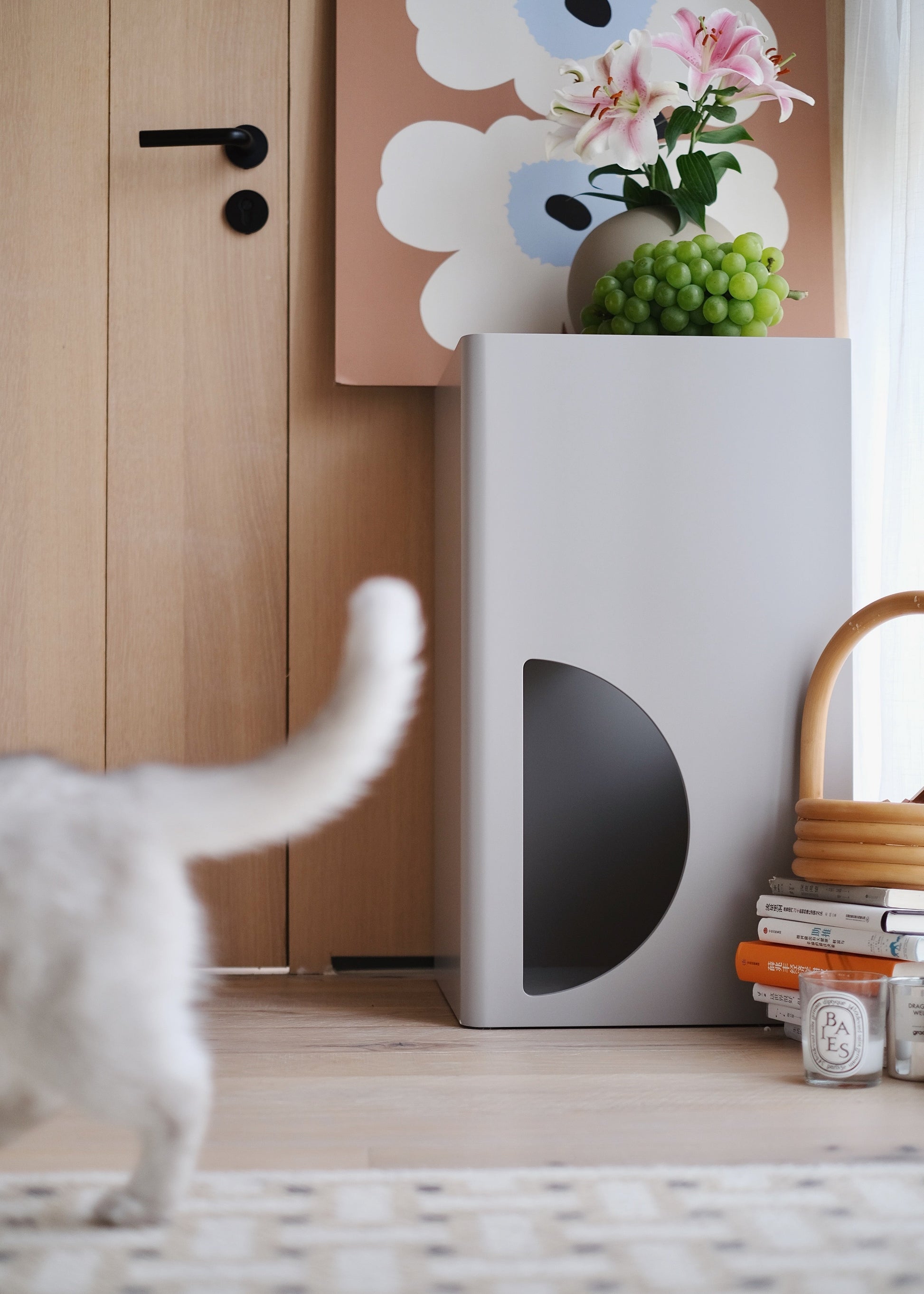 White cat walking towards a gray cat tree with a plant on top, in a room with wooden floor and wall.