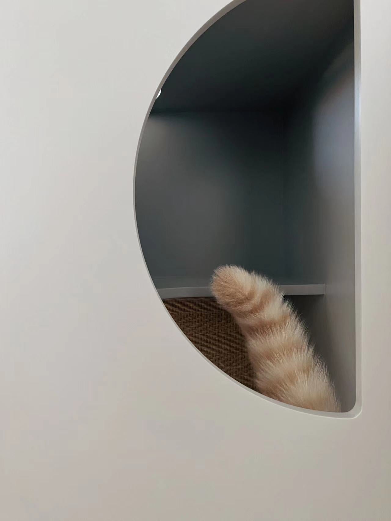 Cat's tail peeking out from a round hole in a white wall.