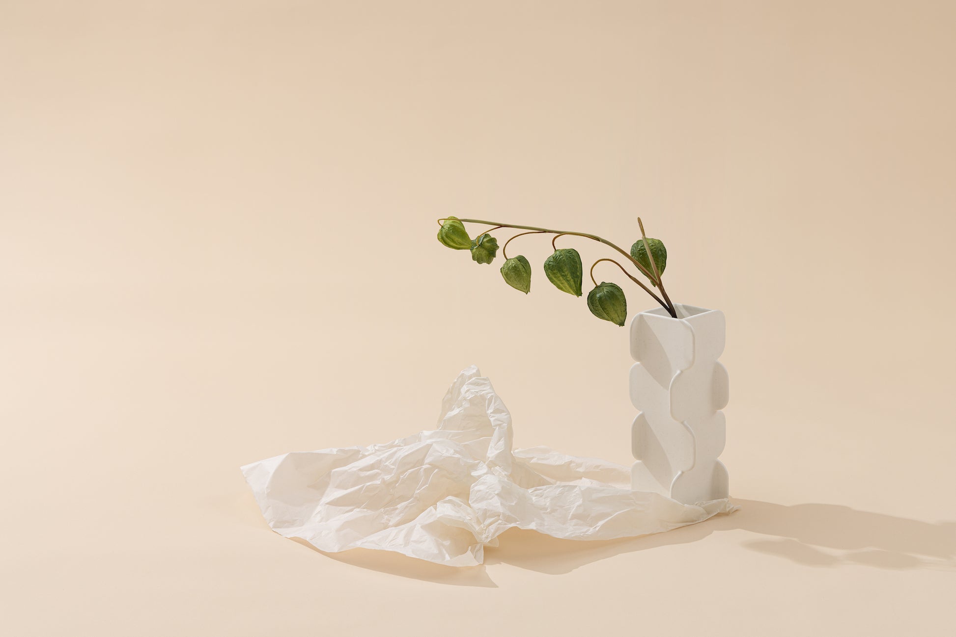 White textured vase with a plant on a beige background