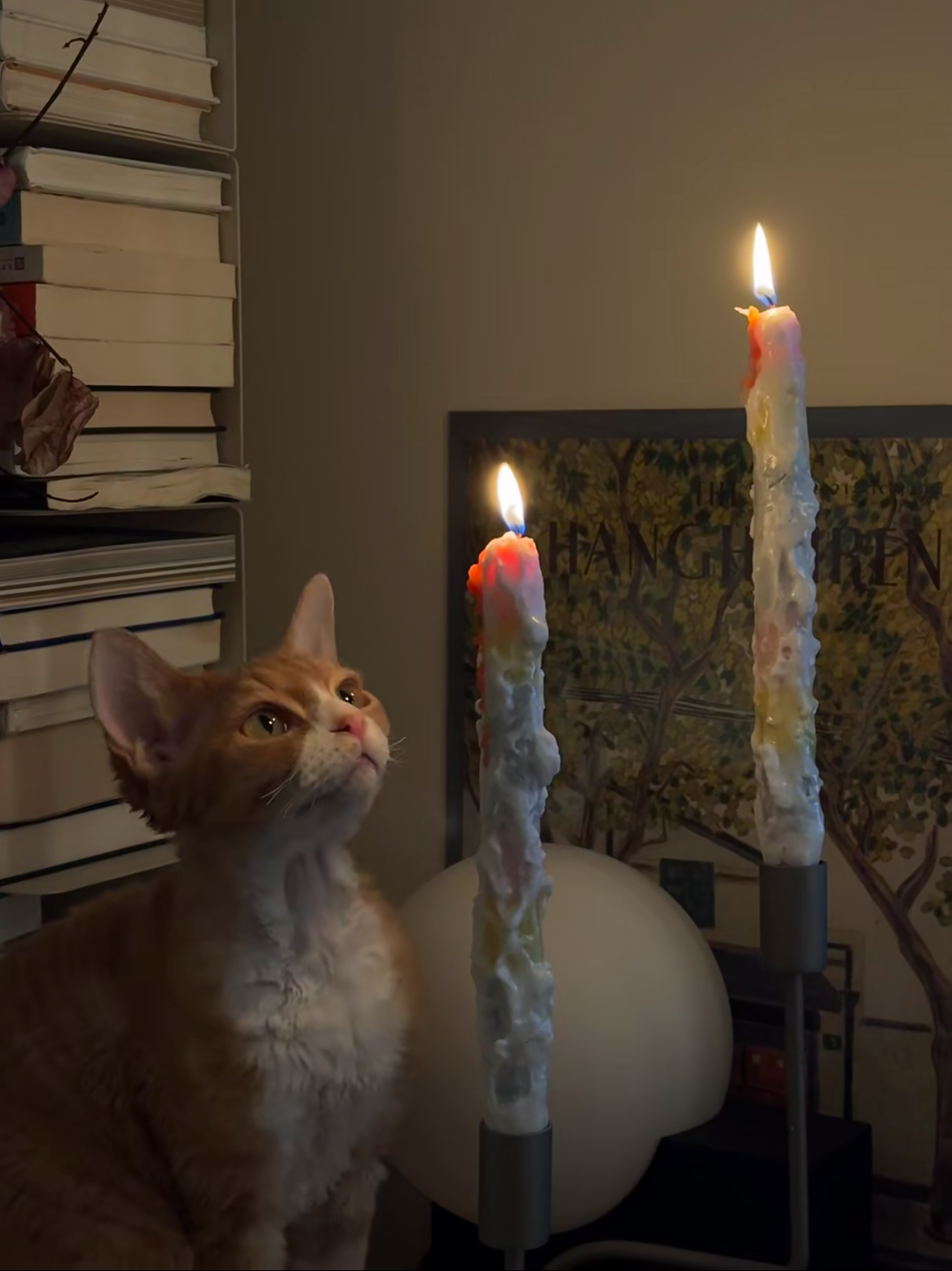 Cat looking at two lit candles with colorful wicks in a room.