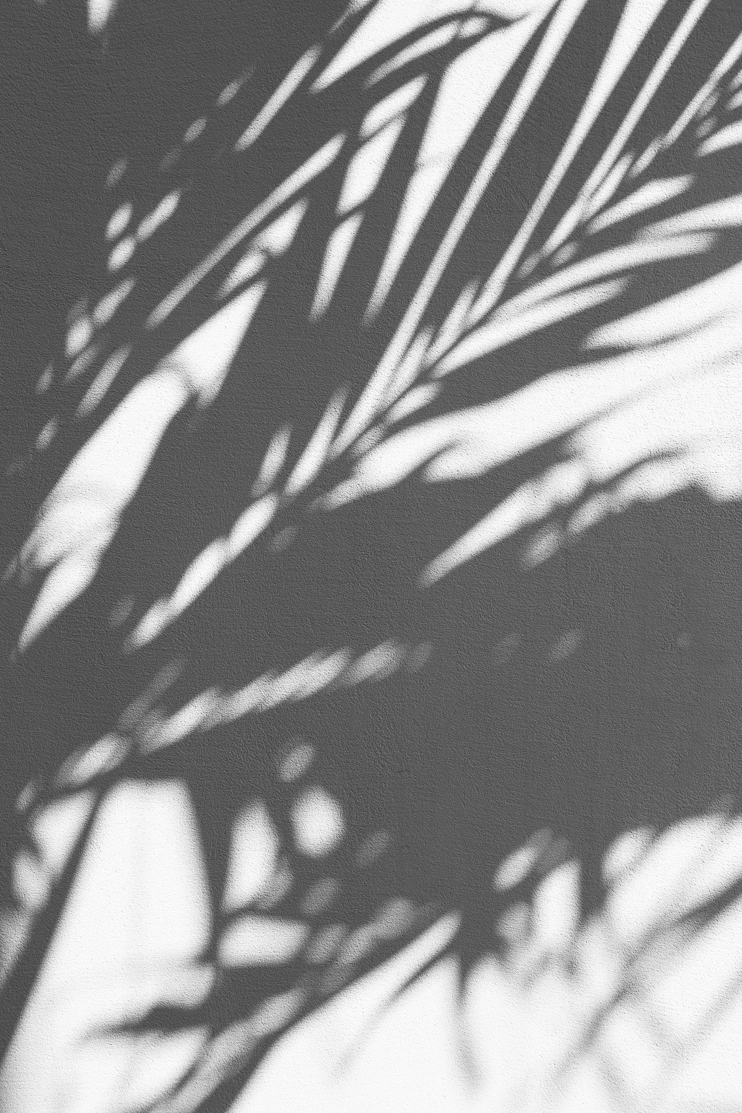 augustine-wong-T0BYurbDK_M-unsplash.jpg__PID:6343fcc6-c14e-4414-9f24-153578556275