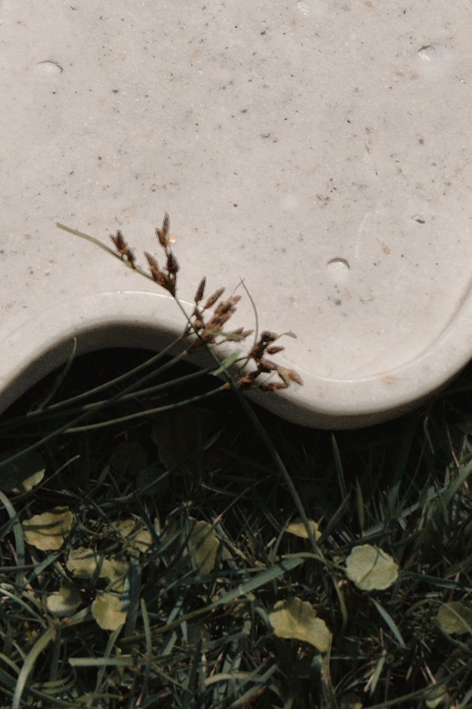 Handmade Oyster Shell Wave Tray