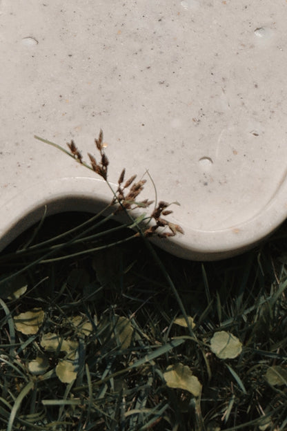 Handmade Oyster Shell Wave Tray