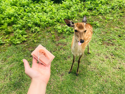Hand holding a pink item towards a deer in a grassy area