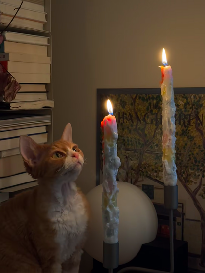 Cat looking at two lit candles with colorful wicks in a room.