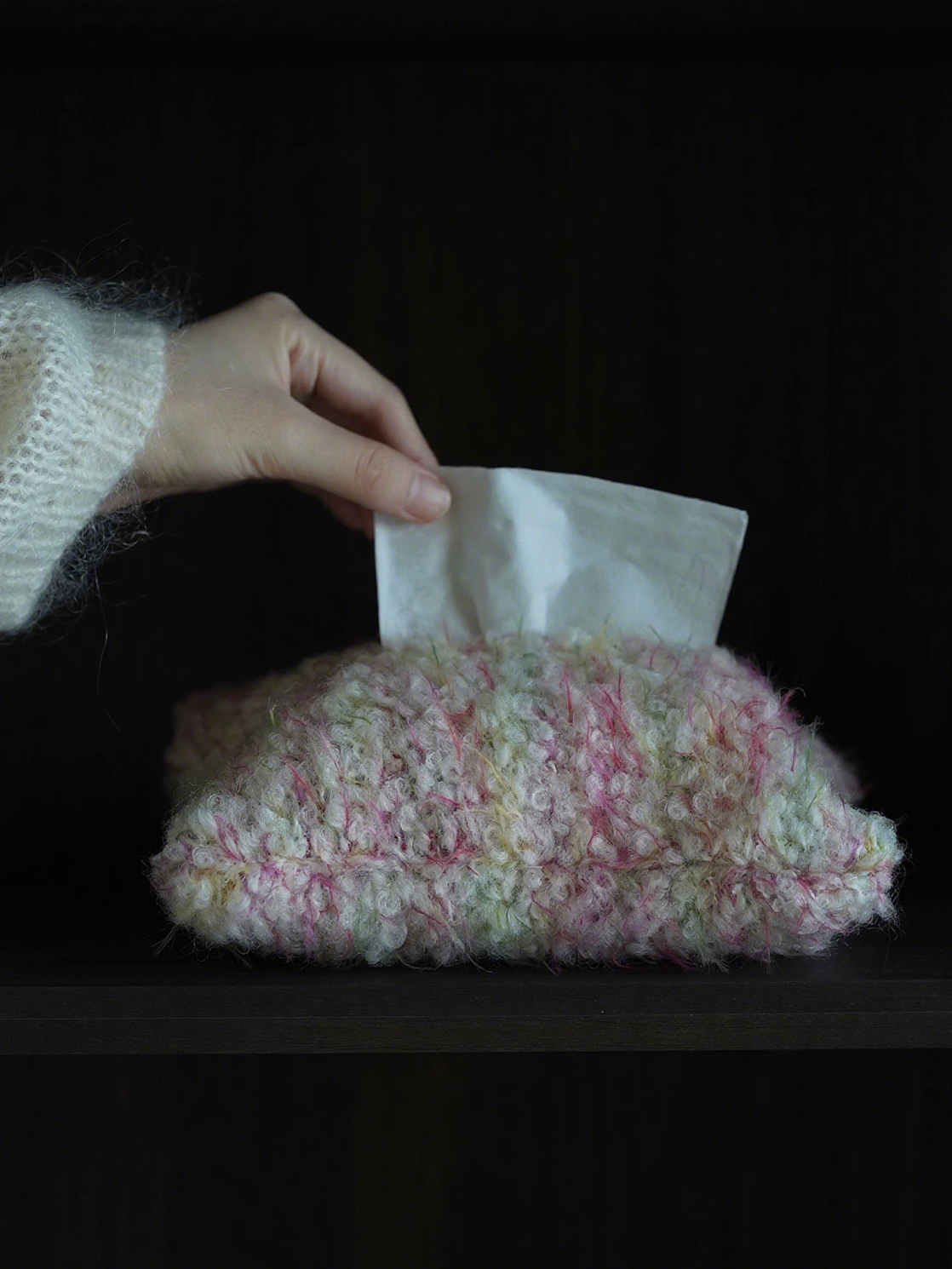 Handmade Wool Felt Tissue Holder