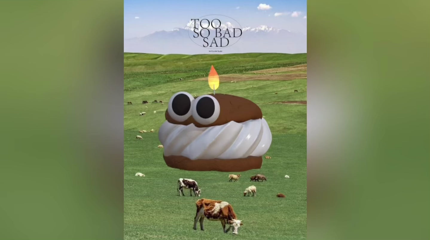 Load video: 